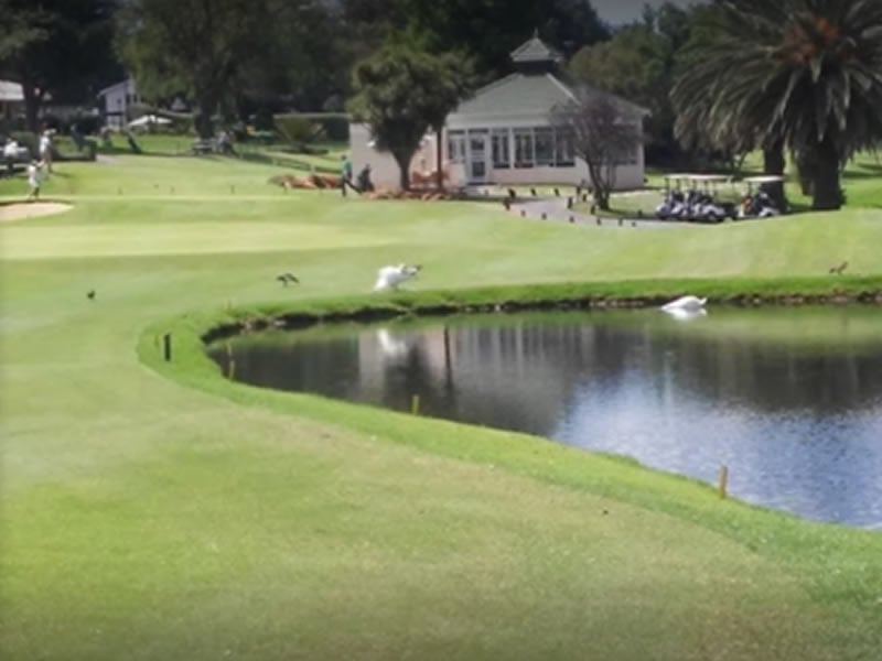 Killarney Country Club